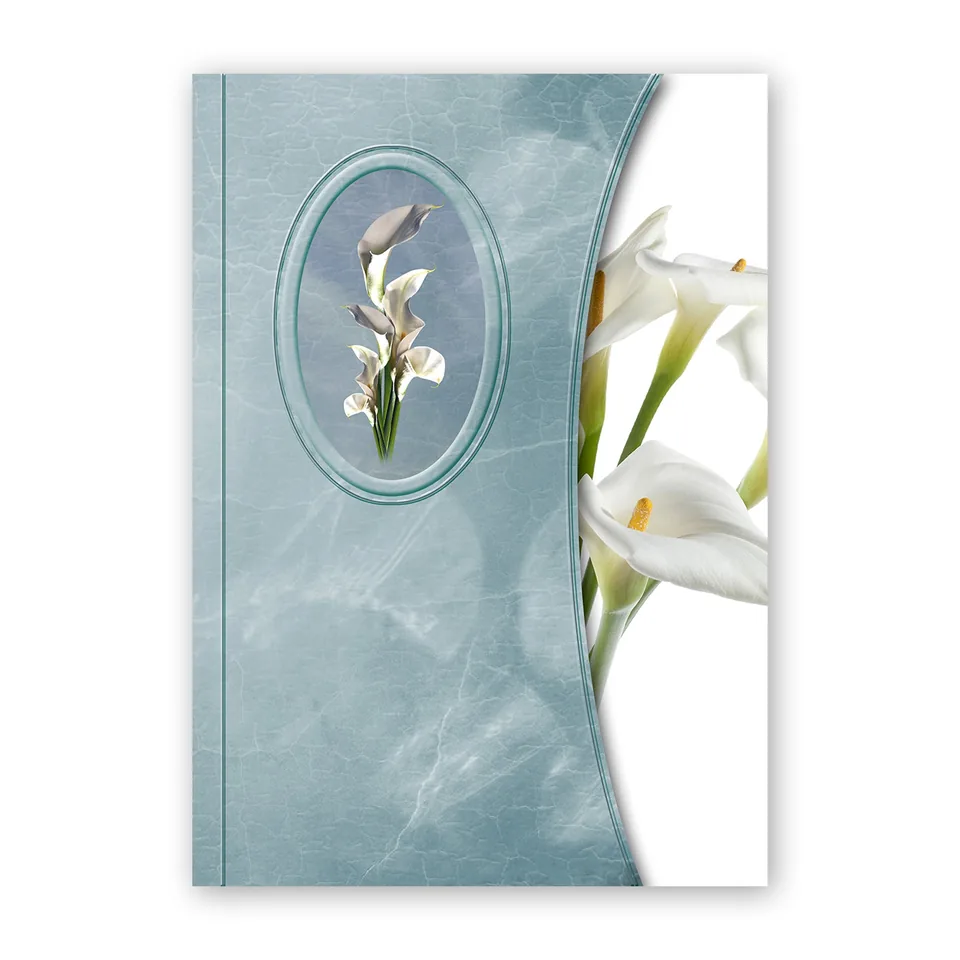 Cartellina C02