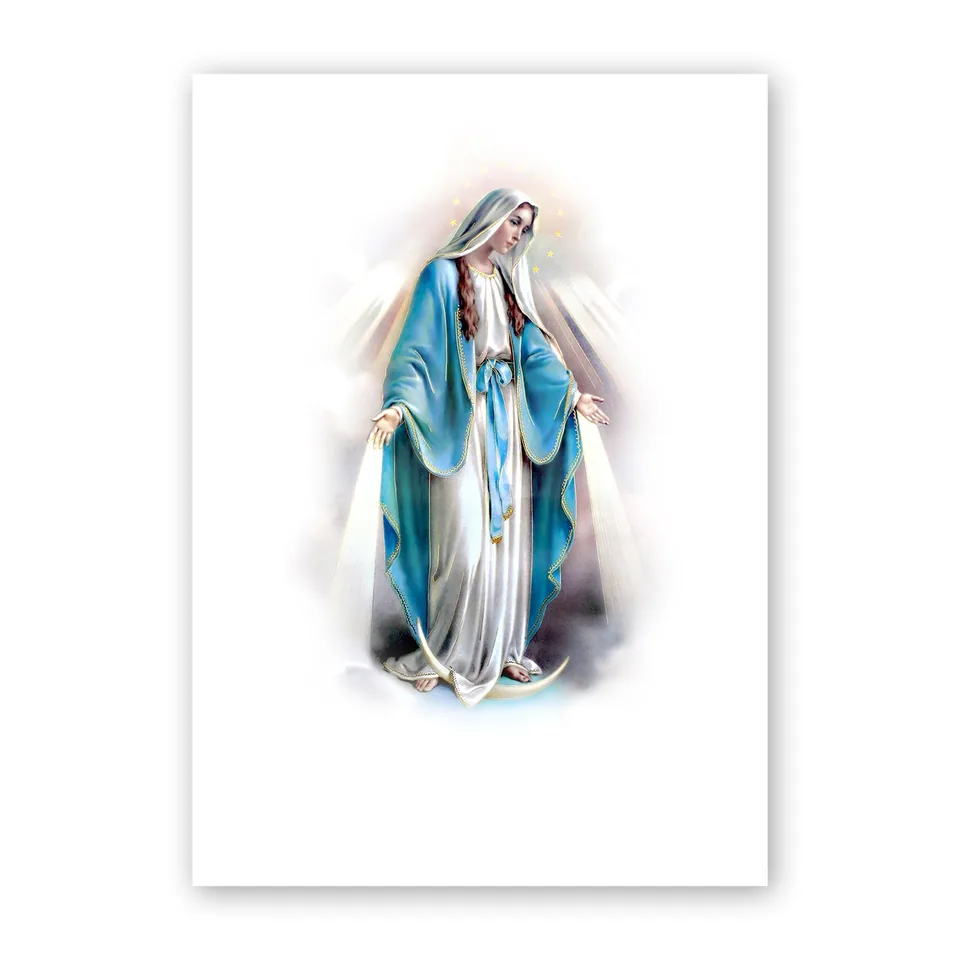 Cartelline Copertina Flessibile